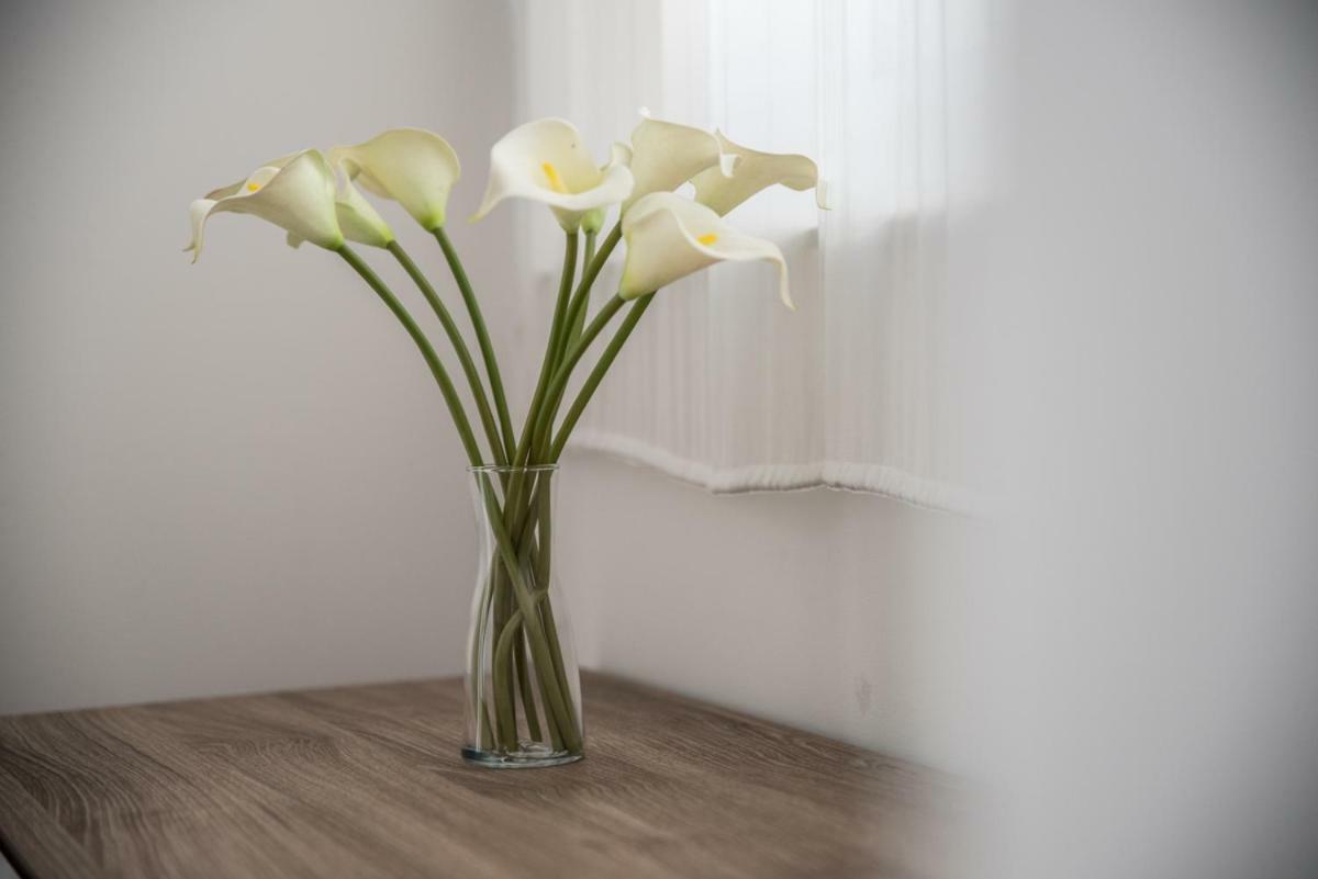 Terrazzo Siciliano Apartment Riposto Luaran gambar